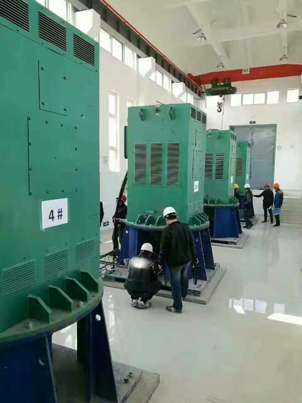 松江某污水处理厂使用我厂的立式高压电机安装现场哪家好